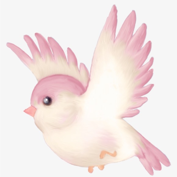 blushing_bird